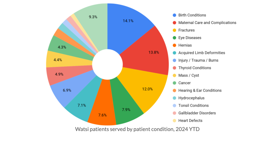 A pie chart showing the percentage breakdown of conditions funded on Watsi in 2024.